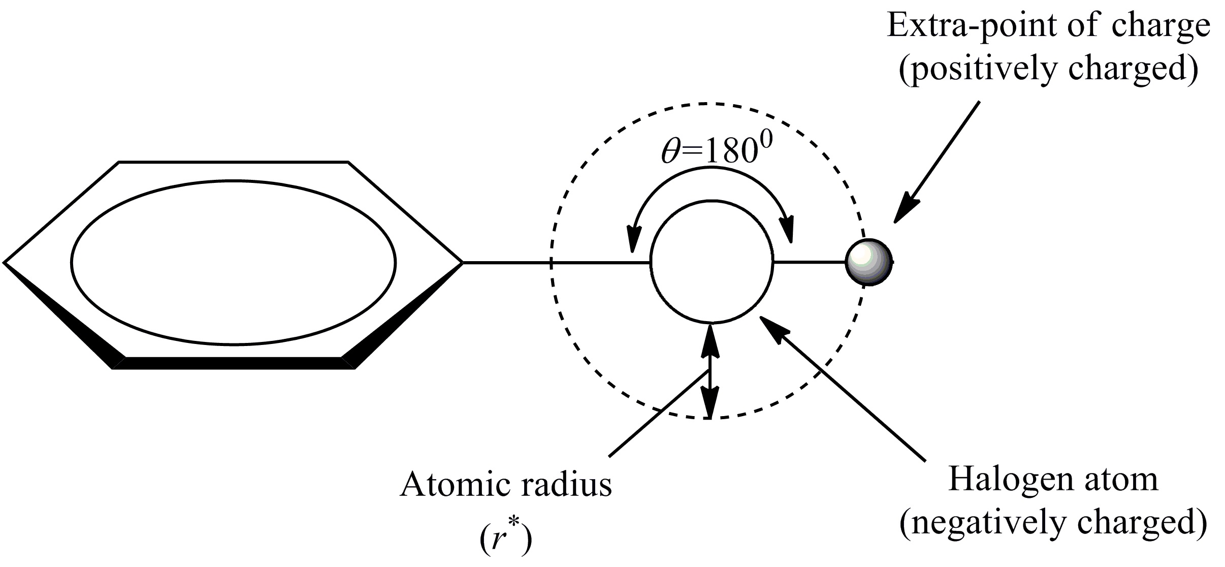 Halogen Bond Simulation